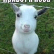 хочу выстрел