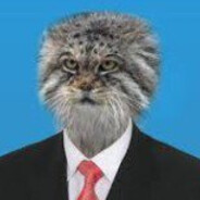 Manul