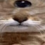 Buwang, From Up Close