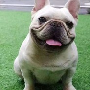 叱咤风云鬼哥哥