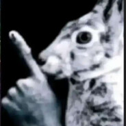 ygrek avatar