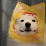 爱打呼噜的月亮