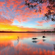 跨越山海拥抱你