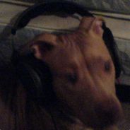 dyraj - steam id 76561197960688077