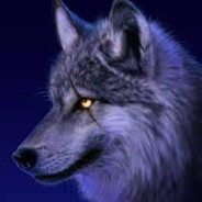 NIGHT__WOLF