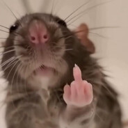 TunnelRat