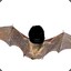 Negorbat