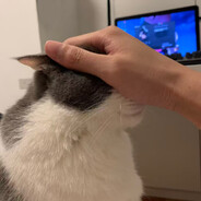 只会偷电不会遛