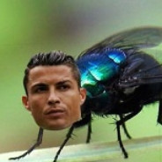 JUGAR C BENJA=BAN DE 7 DIAS