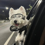 你都如何回忆我