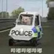 马猴烧酒沙力van