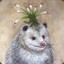 Duke O&#039;Possum