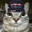 Cat Verstappen