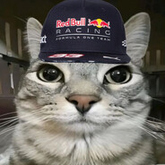 Cat Verstappen