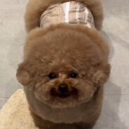 Yukii >.<