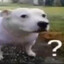 Sav4ik