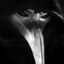 The Plague Doctor