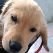 那不是草莓那是蚊子叮