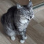 Imperator_12