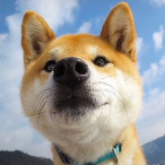 爱吃菠萝的莽夫