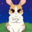 RaginRabbit