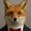 Mr.Fox