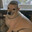 Hooddog