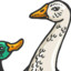goose