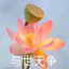 与世无争