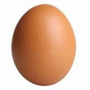 I_am_aN_EGG