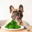 Spinach Bulldog