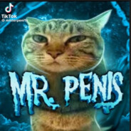 Mr. Penis