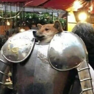 你真的关心吗？