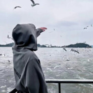 昨夜小楼又东风