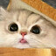 MooDang