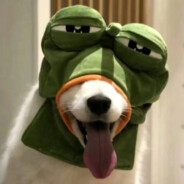 三亚出来的野人