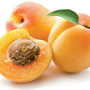 apricot - steam id 76561199858555157