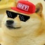 Doge