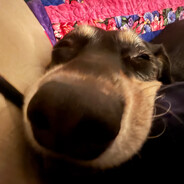 DubDogg