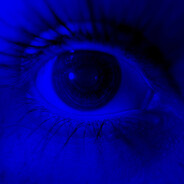 ЗУЗУЗУЗУЗУЗ\