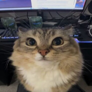 issam's avatar