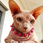 Лысый зверь