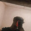 x4z