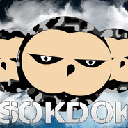 ☑️    ͝͞SokDok