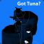 Sir_Tuna