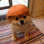 Pumpkin Doggo