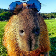 ♡КаПиБаРA♡