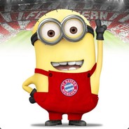 一朵可爱的虎掌菌