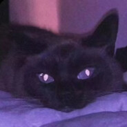 巧克力常常会过期