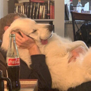 龙卷风摧毁停车场